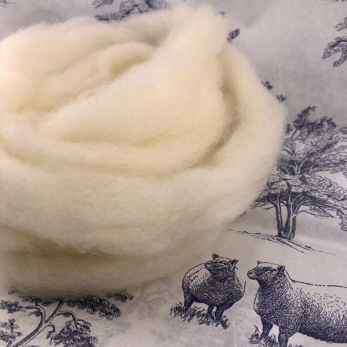 Romeldale Roving (4 ounces)