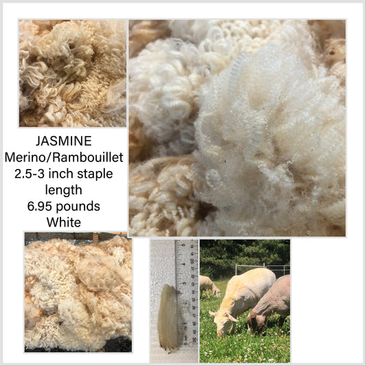 Raw Merino Fleece - Jasmine