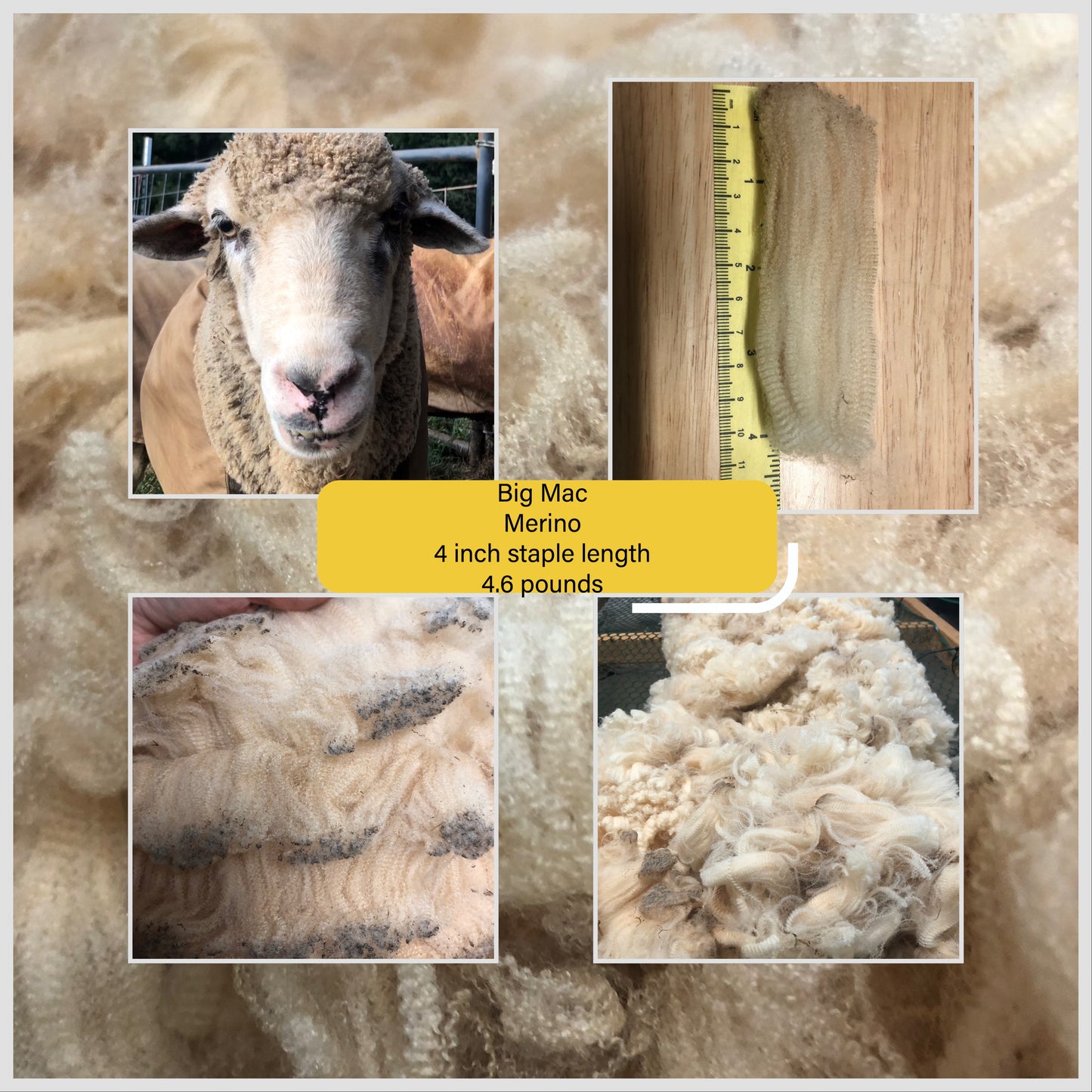 Big Mac-Raw Merino Fleece