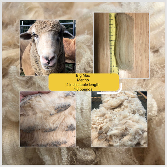 Big Mac-Raw Merino Fleece