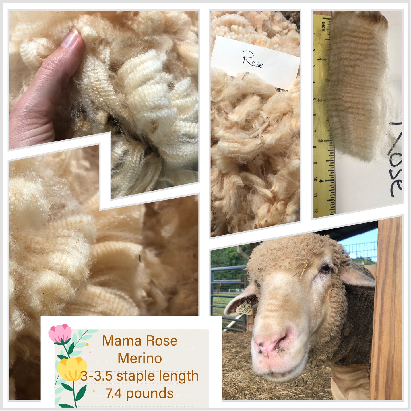 Mama Rose-Raw Merino Fleece