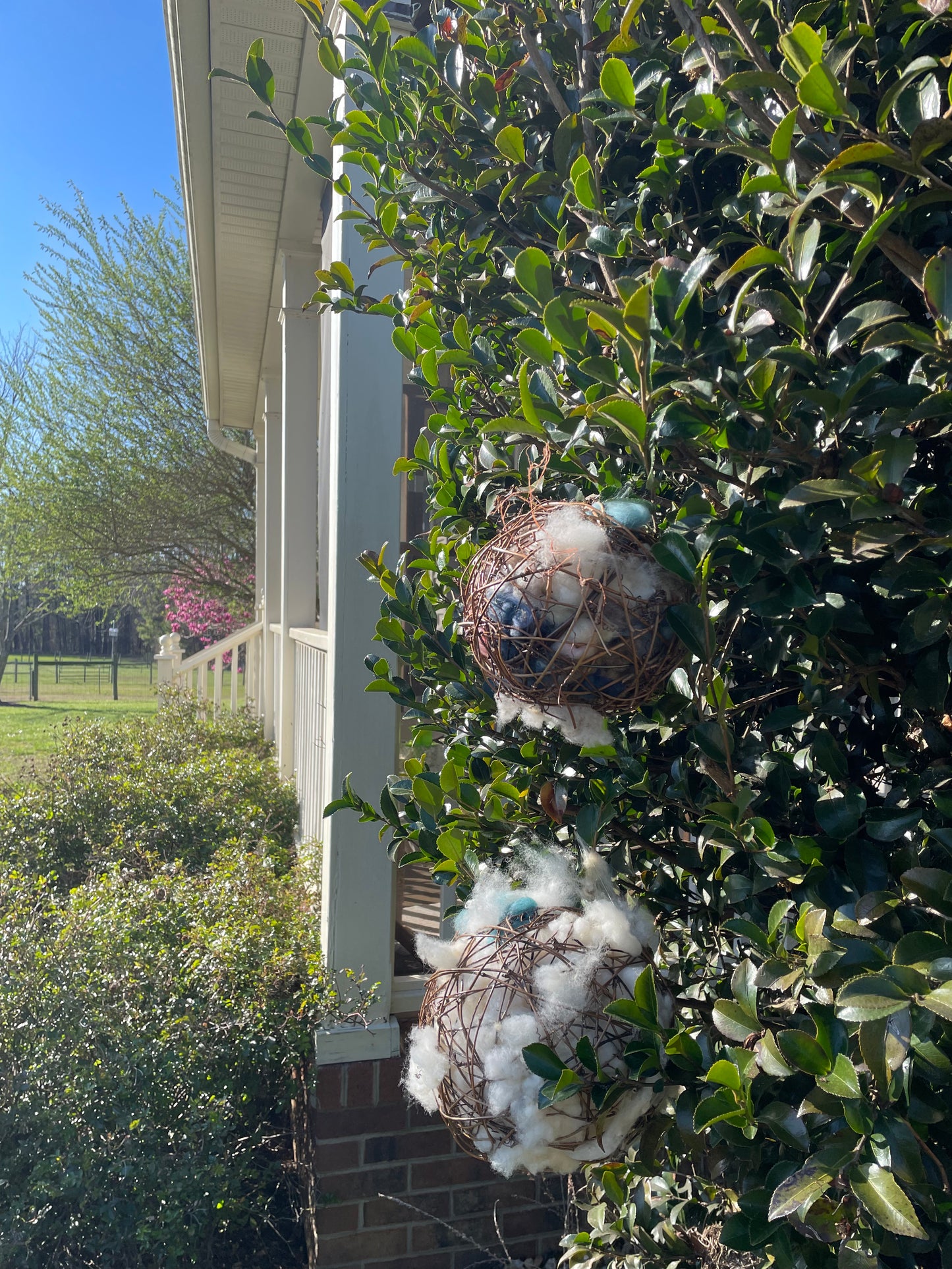 Bird Nesting Ball